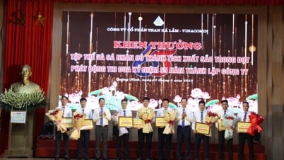 Công ty CP Than Hà Lầm kỷ niệm 65 năm thành lập