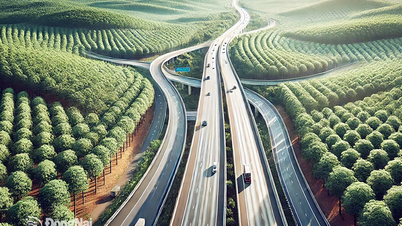 Đẩy nhanh tiến độ bàn giao mặt bằng thi công cao tốc Gia Nghĩa - Chơn Thành