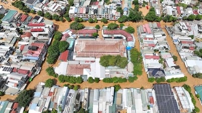 Mưa lũ gây thiệt hại tại khu vực Sông Mã