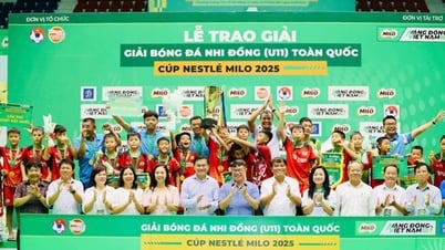 Hưng Yên lần đầu đăng quang ngôi vô địch Giải bóng đá nhi đồng U11 toàn quốc
