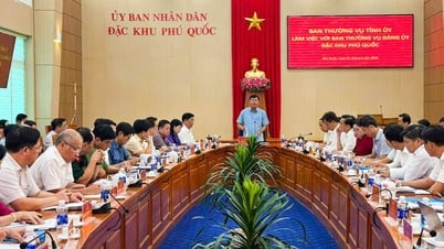 10.000 - 12.000 lãnh đạo cấp cao và doanh nghiệp dự APEC 2027 ở Phú Quốc