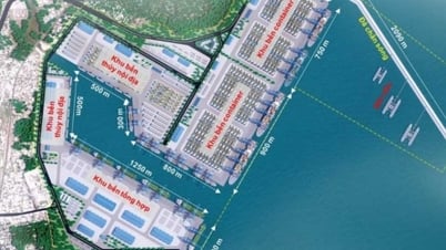 Siêu cảng Liên Chiểu rộng cơ hội thành công
