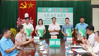 Ký kết hợp đồng ủy thác cho vay vốn tín dụng chính sách