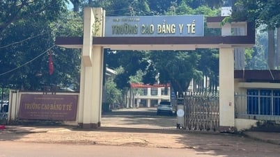 Trường chậm chi hơn 2,3 tỷ đồng hỗ trợ do... sinh viên gửi tài khoản muộn