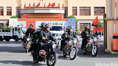 Công an tỉnh Lâm Đồng tổ chức đợt cao điểm tấn công, trấn...