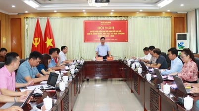 Duyệt văn kiện Đại hội Đảng bộ các xã Sơn Vĩ, Sủng Máng, Mèo Vạc, Tát Ngà và Khâu Vai