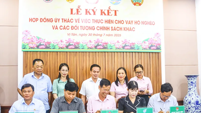 Phòng giao dịch Ngân hàng chính sách xã hội Hậu Giang ký kết hợp đồng ủy thác cho vay với 3 xã, phường