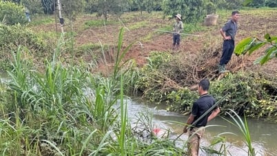 Lâm Đồng: Tìm thấy thi thể người phụ nữ sau một ngày mất...