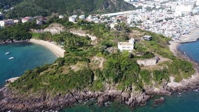 지난주 문화 행사: 나트랑시 바오다이궁의 고대 별장 5채가 압수되었습니다.