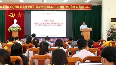 171 đại biểu dự hội nghị tập huấn công tác bảo trợ xã hội, trẻ em và phòng, chống tệ nạn xã hội