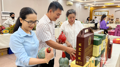 Đẩy mạnh quảng bá, xúc tiến đầu tư, thương mại, du lịch