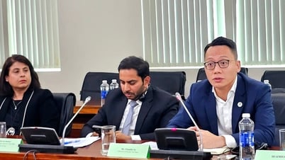 Sẽ có hơn 300 đoàn thu mua đến từ 60 nước 'đổ' về Việt Nam tìm nguồn cung