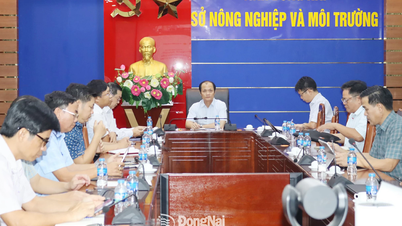 Tập huấn toàn quốc về phân cấp lĩnh vực đất đai khi thực hiện chính quyền địa phương 2 cấp