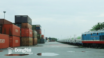 Doanh nghiệp logistics hướng đến chuỗi cung ứng bền vững