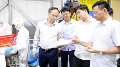 Phó Chủ tịch UBND tỉnh Bắc Ninh Phạm Văn Thịnh khảo sát vùng trồng, cơ sở biến vải thiều