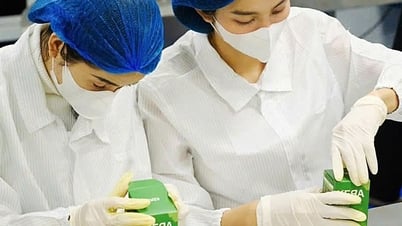 Mua hàng trên chợ mạng: May nhờ, rủi chịu?