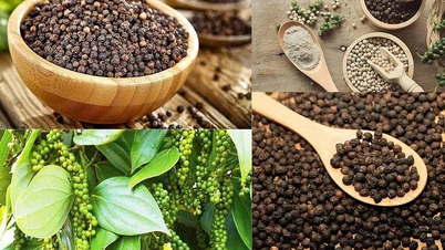 Giá hồ tiêu tại Gia Lai tăng 2.000 đồng, hiện ở mức 139.000 đồng/kg