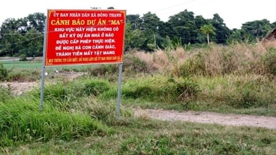 Nhìn thẳng - Nói thật: Bát nháo như... quảng cáo bất động sản