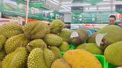 Durian-Preise steigen erneut