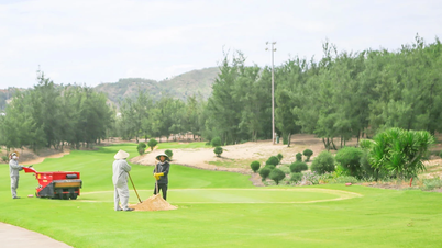 FLC Golf Links Quy Nhơn gấp rút chuẩn bị cho Giải Vô địch Golf Quốc gia, Cúp VinFast - Gia Lai 2025