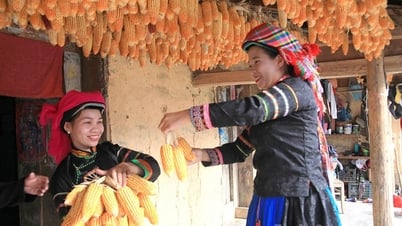 Tinh hoa ẩm thực của đồng bào Mông