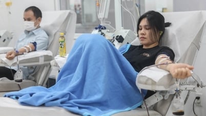 Giới trẻ ở TPHCM dậy từ 5h, đi hàng chục cây số để hiến tiểu cầu cứu người