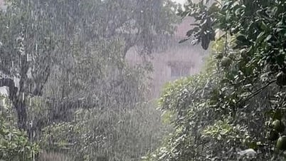 Thời tiết ngày 01/8: Bắc Bộ có mưa rào và dông, cục bộ có nơi mưa to