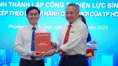 TP.HCM thành lập 9 công ty điện lực mới sau sáp nhập, người dân nắm bắt để tránh nạn lừa đảo