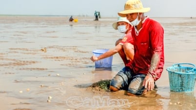 “Mái ấm” của những hộ nghèo sống ven biển