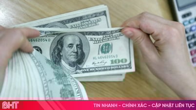 Tỷ giá USD hôm nay 1/8/2025: Đồng USD hướng tới đà tăng đầu tiên trong năm