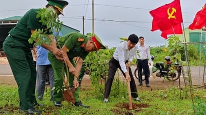 Xã Quảng Trực trồng hơn 5.000 cây xanh dọc tuyến biên giới