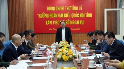 Bí thư Tỉnh ủy, Trưởng Đoàn đại biểu Quốc hội tỉnh Quản Minh Cường làm việc với Sở Ngoại vụ