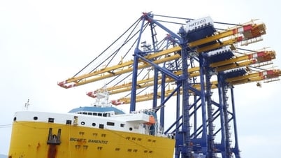 Xuất khẩu 7 tháng vượt chỉ tiêu đề ra