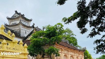 Chùa Cổ Lễ - ngôi cổ tự có kiến trúc độc đáo nhất Việt Nam
