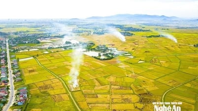 Thời tiết Nghệ An ngày 1/8: Ngày nắng nóng, có nơi nắng nóng gay gắt