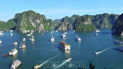 Quảng Ninh nghiên cứu lắp đặt hệ thống cảnh báo dông lốc trên vịnh Hạ Long, vịnh Bái Tử Long