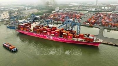 Hoa Kỳ giảm thuế đối ứng với Việt Nam xuống còn 20%