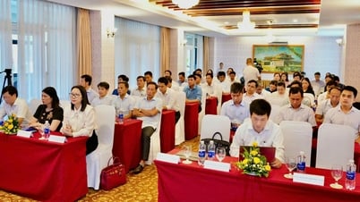 Đổi mới sáng tạo và chuyển đổi số ở chính quyền cấp xã