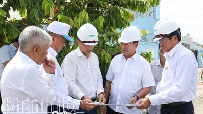 Tái khởi động Dự án xây dựng cơ sở hạ tầng khu tái định cư Ngọc Hiệp - giai đoạn 2