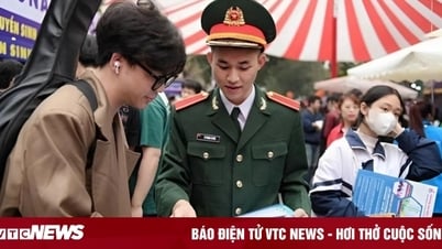 Điểm chuẩn trường Sĩ quan Lục quân 1, Lục quân 2 trong 4 năm gần đây