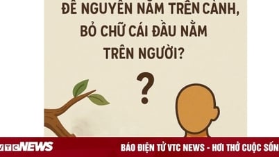 Từ tiếng Việt nào 'để nguyên nằm trên cành, bỏ chữ cái đầu nằm trên người'?