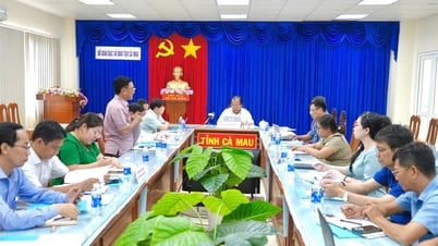 Ngành Giáo dục và Đào tạo Cà Mau cần bứt phá mạnh mẽ hơn nữa