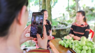 Từ kỹ năng mềm đến thương mại điện tử: Hành trình mới của phụ nữ vùng cao Quảng Ngãi