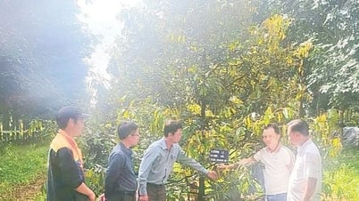 Vòng tuần hoàn nhiều lợi ích