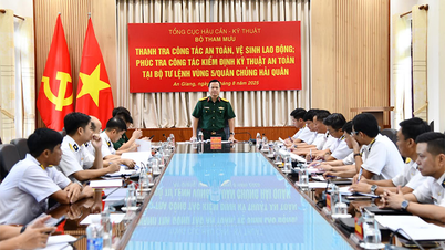 Tổng cục Hậu cần - Kỹ thuật thanh tra, phúc tra công tác an toàn, vệ sinh lao động tại Vùng 5 Hải quân