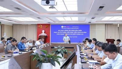 Bảo đảm cung cấp điện an toàn, ổn định cho dịp kỷ niệm 80 năm Cách mạng Tháng Tám và Quốc khánh 2/9