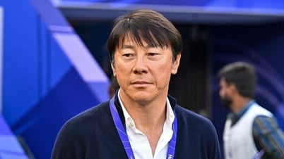 Shin Tae Yong tìm được công việc HLV mới sau khi rời Indonesia