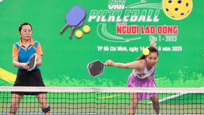 Pickleball góp mặt ở Đại hội Thể thao toàn quốc 2026