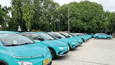 Giao thông xanh: Chiến lược để phát triển đô thị bền vững
