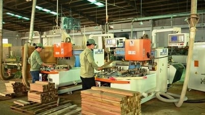 Phú Tài (PTB) chuẩn bị chào bán cổ phiếu huy động vốn
